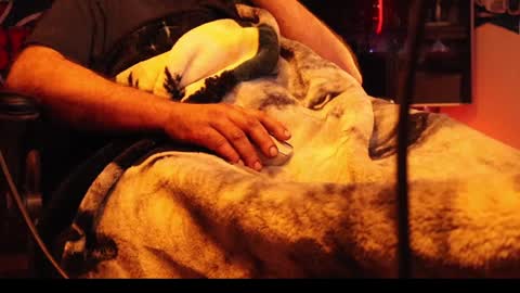 Snapshot of h0tttsteel chatting on December 18, 10:08 am h0tttsteel online show from December 18, 10:08 am