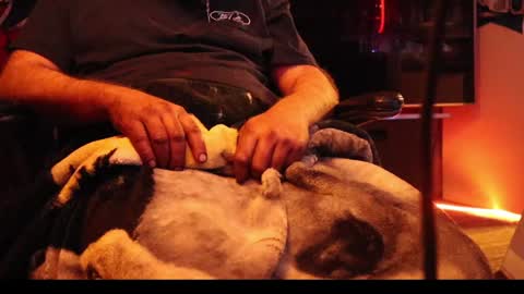 Snapshot of h0tttsteel chatting on December 18, 1:12 pm h0tttsteel online show from December 18, 1:12 pm