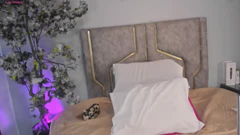 haileystonei online show from December 16, 11:59 am