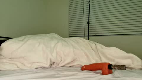 HailWilds online show from February 18, 11:33 pm