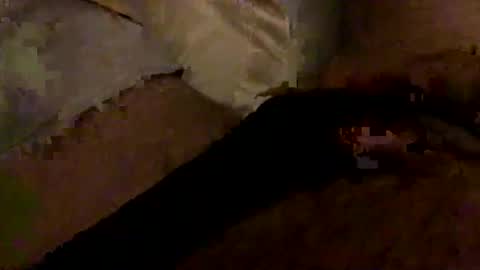 Bruce online show from January 10, 3:30 am