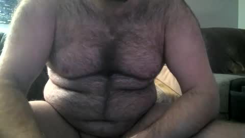 Snapshot of hairiestbear chatting on February 8, 10:39 am Hairiest Bear online show from February 8, 10:39 am