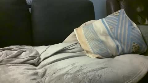 Snapshot of hairiestbear chatting on February 18, 8:16 am Hairiest Bear online show from February 18, 8:16 am