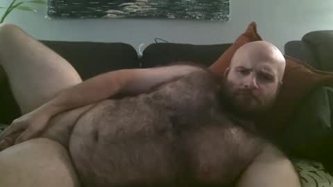 Snapshot of hairiestbear chatting on October 7, 3:58 am Hairiest Bear online show from October 7, 3:58 am
