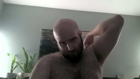 Hairiest Bear online show from April 1, 6:25 am