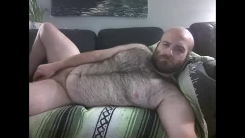 Hairiest Bear online show from May 2, 8:30 am