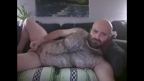Hairiest Bear online show from May 9, 9:14 am