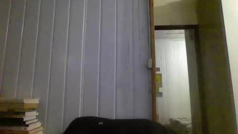 Snapshot of hairy_man_69_ chatting on January 3, 10:40 pm horny online show from January 3, 10:40 pm