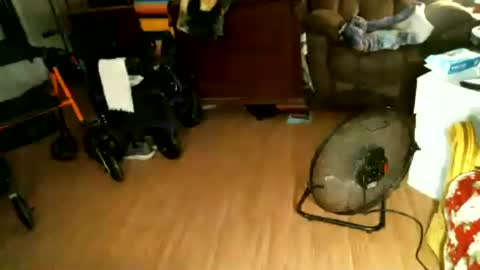 hairybear813 online show from July 27, 2:51 am