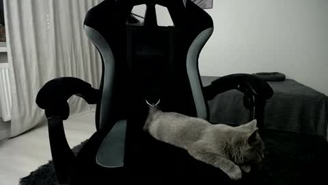 Adam online show from January 10, 5:05 am