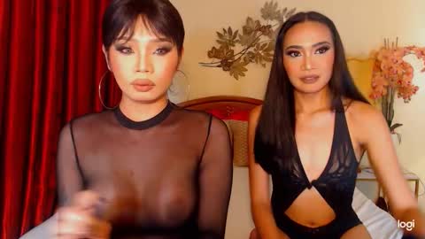 Snapshot of haisleypalmer chatting on February 16, 6:48 pm YOUR SIDECHIC HAILEY online show from February 16, 6:48 pm