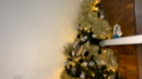 Independent       model  online show from December 30, 2:42 am