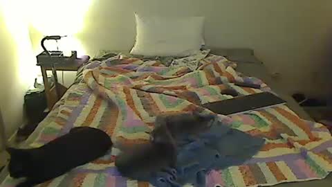 hammerthatthang73 online show from October 18, 7:20 am