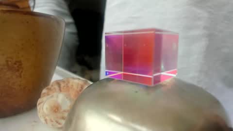 handncocknocum online show from December 26, 1:54 pm