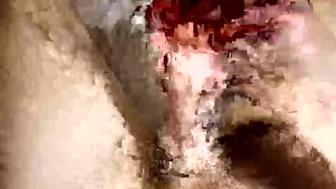 hanescockncum online show from September 29, 11:59 am