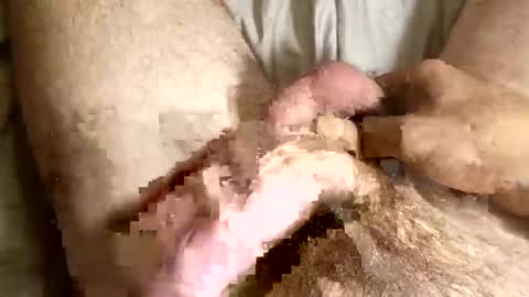 hanescockncum online show from September 30, 11:59 am