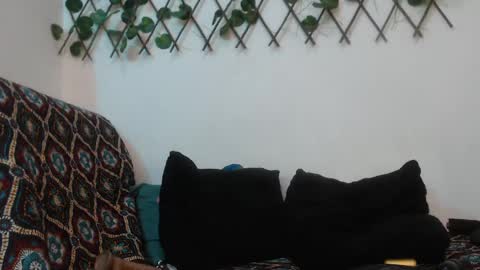 SARA  online show from January 12, 4:00 am