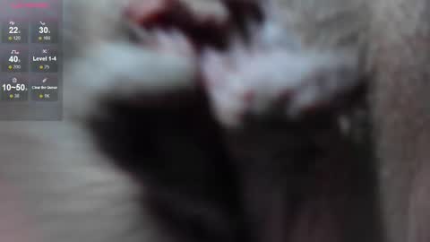 HannaPaola online show from February 21, 5:02 am