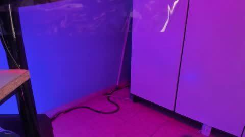 Snapshot of hannyk_ chatting on February 12, 11:38 am hannyk_ online show from February 12, 11:38 am