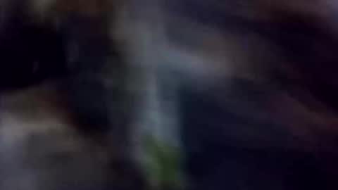 happydick69a online show from October 2, 1:29 pm