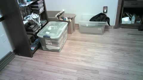 Hardy-Har online show from January 6, 4:26 am