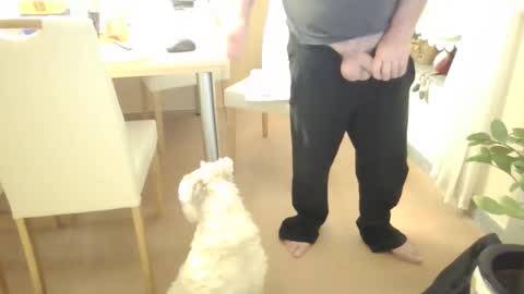 Snapshot of harald1234 chatting on February 21, 1:56 pm harald1234 online show from February 21, 1:56 pm