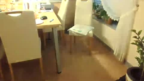 harald1234 online show from July 26, 1:18 pm