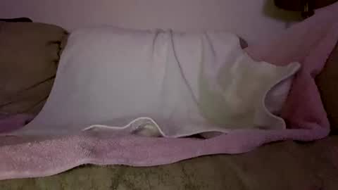 Snapshot of hardcock2622 chatting on February 11, 6:51 am Slim West Cox online show from February 11, 6:51 am