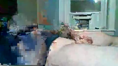 cervixpainter25 online show from November 30, 6:50 am