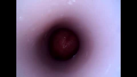 hardhammerboy online show from December 29, 8:26 pm