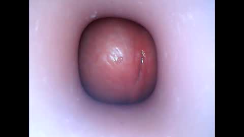 hardhammerboy online show from January 6, 6:31 pm