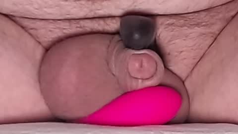 Snapshot of harfang23 chatting on February 12, 6:41 am Paul online show from February 12, 6:41 am