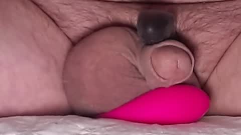 Snapshot of harfang23 chatting on March 1, 4:47 am Paul online show from March 1, 4:47 am