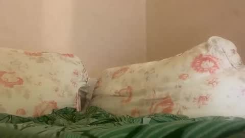 Snapshot of hattydee chatting on January 27, 4:09 am dee online show from January 27, 4:09 am