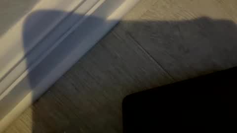 haufd online show from January 19, 3:54 am