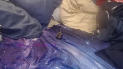 have_a_look_sea_wa online show from November 24, 5:07 am