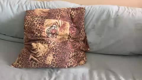 havedream1m online show from February 10, 10:08 am