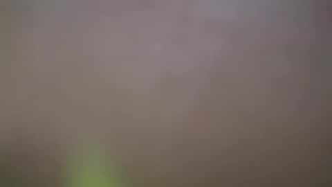 ZhongLi online show from February 14, 2:54 pm