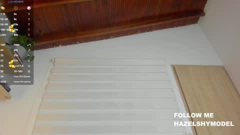 Snapshot of hazel_shy chatting on December 7, 12:30 am Im Hazel online show from December 7, 12:30 am