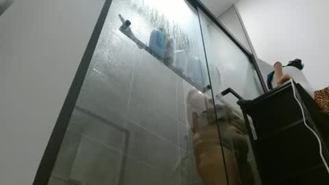 Hazel online show from November 2, 1:19 am