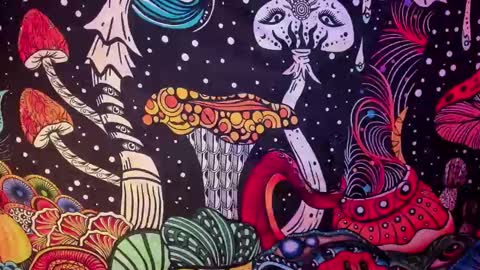 Snapshot of hecate_and_crow chatting on February 26, 7:42 am   online show from February 26, 7:42 am