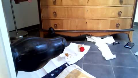 Snapshot of helisporty chatting on November 14, 8:13 am helisporty online show from November 14, 8:13 am