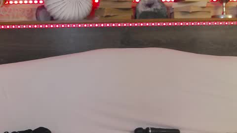    online show from February 22, 7:12 am