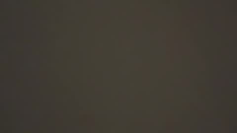 hellohowareyou66 online show from February 1, 2:37 am