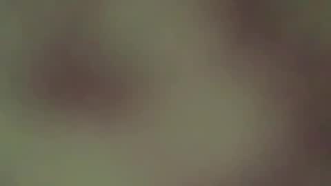 hellohowareyou66 online show from April 21, 3:57 am