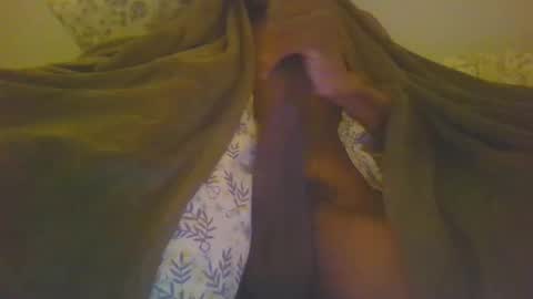 hemlocks online show from March 2, 3:59 pm