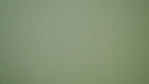 Snapshot of herbstenden chatting on December 30, 10:01 pm John Pearl online show from December 30, 10:01 pm