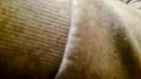 mr D online show from November 25, 5:24 pm