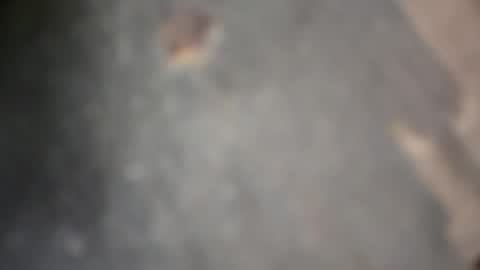 herletigre12345 online show from October 18, 5:32 am