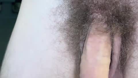 Arnold online show from November 17, 9:42 pm